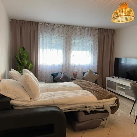 Appartement Promenade Des A 5 Minutes De La A Pied Nice
